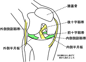 膝の痛み 北見整形外科 整形外科 首の痛み 腰痛 北見整形外科